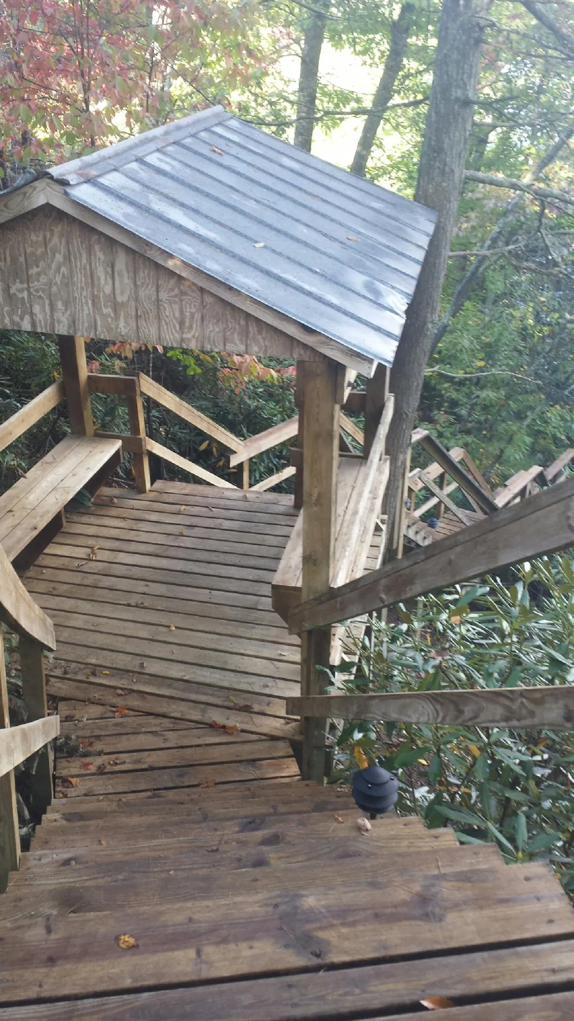 Metal roofed shelter over wooden steps on a wooded walkway — Skylight Repair & Installation work by our crew in Hordville